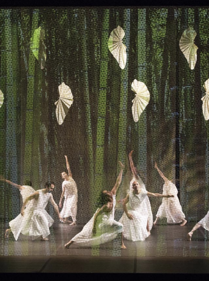 Morellet Textile - Image 7